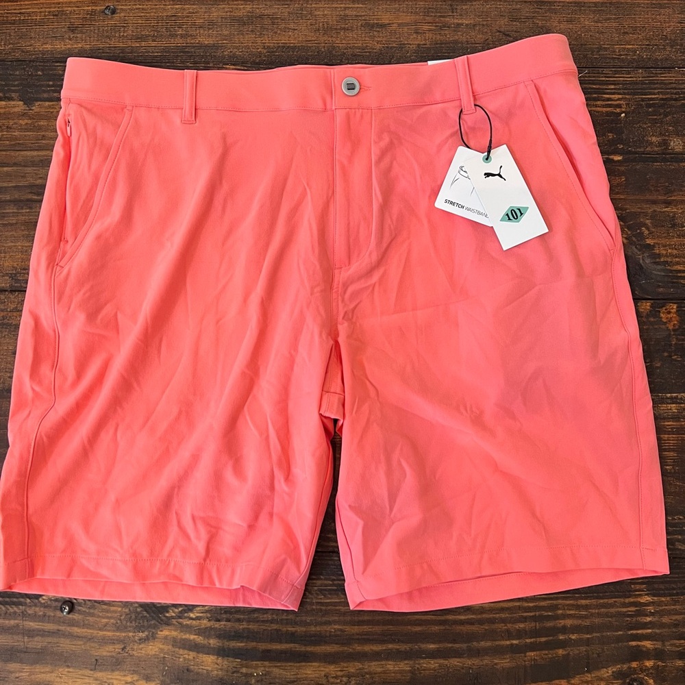 Puma Shorts 38 NWT